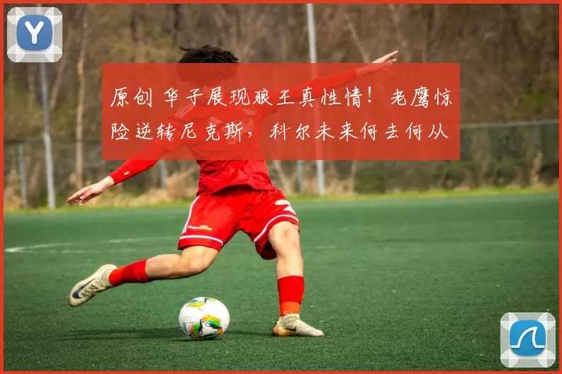 原创 华子展现狼王真性情！老鹰惊险逆转尼克斯，科尔未来何去何从？