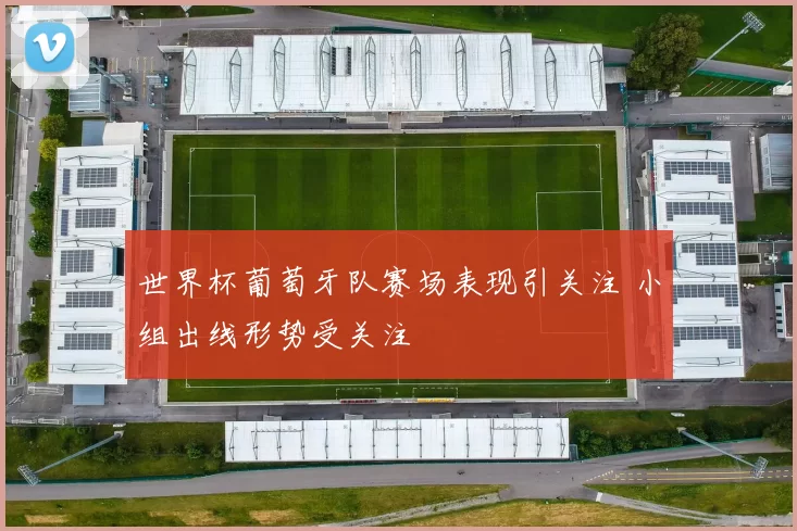 世界杯葡萄牙队赛场表现引关注 小组出线形势受关注