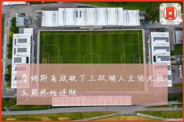 詹姆斯高效砍下三双湖人主场大胜灰熊终结连败