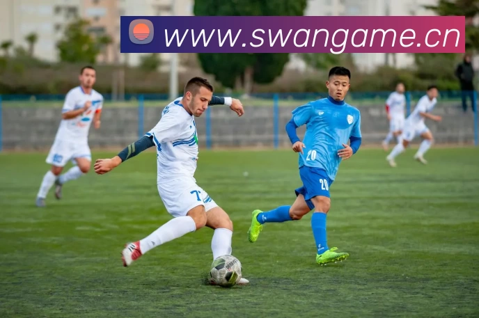 德甲降级赔率：背后的玄机与球队命运走向